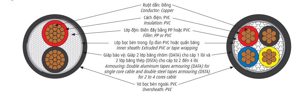 cvvdata